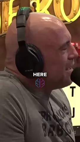 Joe Rogan podcast #podcasts #finanacial #laughing #joeroganpodcast 