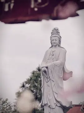 XIN THƯỜNG NIỆM NAM MÔ A DI ĐÀ PHẬT 🙏 #namobudhay #nammoadidaphat #nammobonsuthichcamauniphat #nammoquantheambotat #nammodiatangvuongbotat 