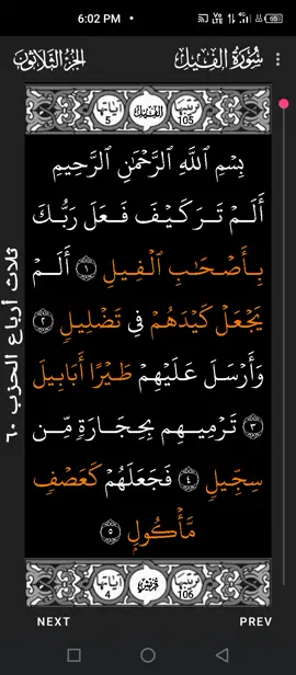 #foryoupage #fyp #foryou #viralvideo #islamic_video #duet #allah #capcut 