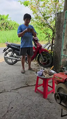 chuẩn bị trước khi ra đồng#suhuong 