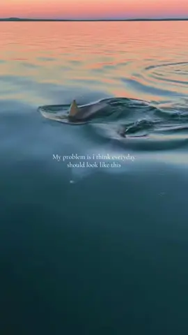 😍#holiday #summervibes #xybca #summervibes #fyp 