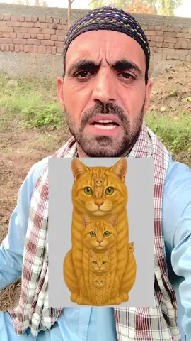 #foryou #foryourpage #viral_video #tiktokpakistan #ansar @Abid khan @user85538692359 @🚩🦅ibrahim_مہمند🦅🚩 @MR RAHMAN 🔥💪 