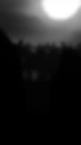 جزء 4 | #سيد_فاقد_الموسوي #سيد_فاقد #ستوريات #حسينيه