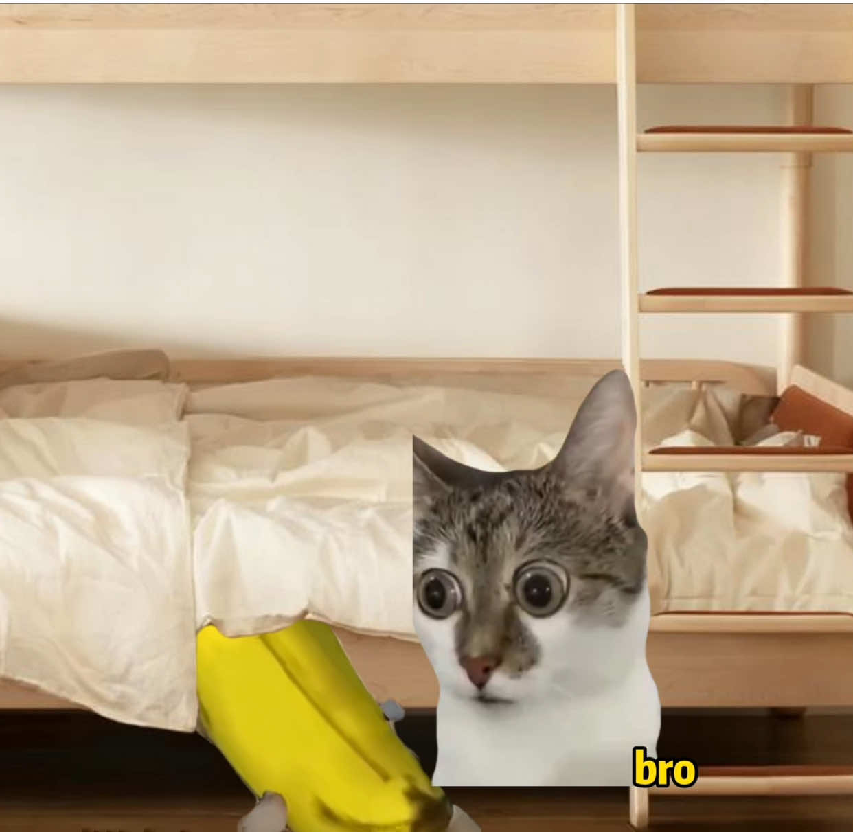 #catmeme #funnycat #prank #foryou #rickastley You’ve been tricked,send this to your friends.