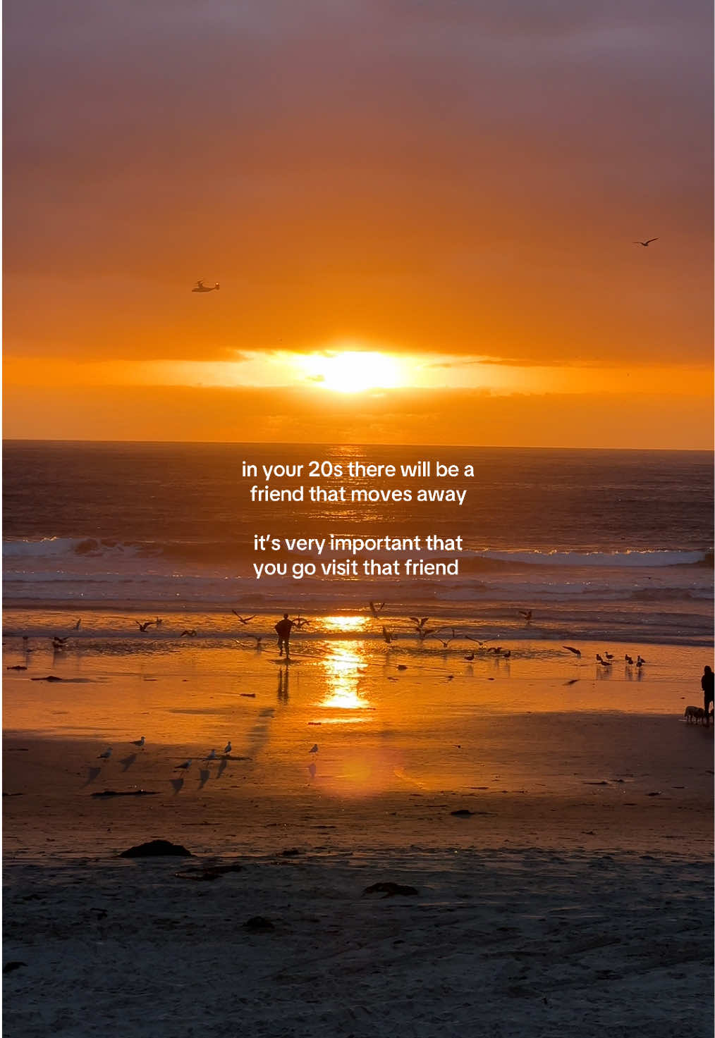 It’s me, I’m the friend #travel #moving #sandiego #beach #fyp