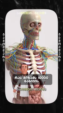 🚶‍♂️ რას გიზამს 10 000 ნაბიჯის გავლა ყოველდღე, მეგობარო? 🔥 პირველი: ცხიმი დნება, თითქოს საუნაში დგახარ. 500–600 კალორია იწვება. 30 დღეში წელი 3–5 სმ-ით შეგიმცირდება. ❤️ მეორე: გული ხდება „ტყვიაგაუმტარი“. წნევა 5–10 მმ ვერცხლისწყლით ქვეითდება, ინსულტის რისკი მცირდება. 💉 მესამე: ინსულინის მგრძნობელობა იზრდება. გლუკოზა იკლებს და დიაბეტის რისკი მკვეთრად ქვეითდება. 🧠 მეოთხე: ტვინში ნისლი ქრება. შაქრის მკვეთრი მატებები მცირდება. მეხსიერება მკვეთრდება, განწყობა სტაბილურდება. 😴 მეხუთე: მკვდარივით გძინავს — ვერავინ გაგაღვიძებს. 10 წუთში იძინებ, 8 საათი ღრმა ძილით. 🦴 მეექვსე: ძვლები და სახსრები ძლიერდება. სიმკვრივე 1–3%-ით მატულობს. მუხლები მადლობას გიხდიან. ⚡ 1 თვის შემდეგ: ენერგია მაღალი გაქვს, გაჩერება აღარ შეგიძლია. ნაწლავები ბედნიერია. სარკეში იყურები და ფიქრობ: „ვინ არის ეს ადამიანი?“ 👉 თუ ისევ ზიხარ — ადექი და დაიწყე შენი 10 000 ნაბიჯი. 👉 უღალატე ამ ერთხელ შენს დივანს. 📲 გამოიწერე ეს გვერდი, სანამ შენი სხეული ფესვებს გაიდგამს. ⚠️ და იცოდე: ჯანმრთელობისთვის ძალიან სახიფათოა ჭარბი ნიტრატები, რომლებიც ხილში, ბოსტნეულში და ხორცში გვხვდება. 📩 ნიტრატების ტესტერზე უფასო კონსულტაციისთვის მომწერე პირადში. #10000ნაბიჯი #ჯანმრთელობა #ენერგია #მეტაბოლიზმი #ფიტნესი #ჯანსაღიცხოვრება #Geogreentest #ნიტრატები #სიცოცხლისწესი #გამოწვევა