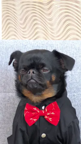 Plot twist: I need a nap… again