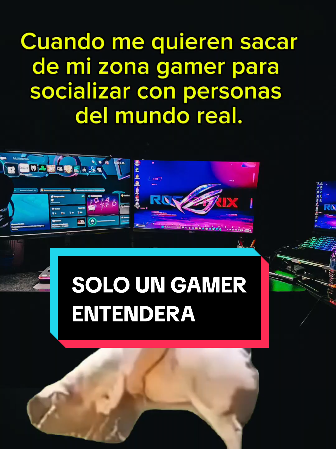 Solo los gamers entenderan que significa esto.  #memesgamer #videogames #gamers #gamersentiktok #gamersoftiktok 