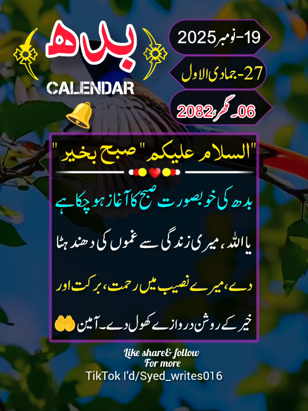 19-Nov-2025) WEDNESDAY MORNING💫STATUS💫NOTIFICATION🔔 REMINDER  #deartiktokteamdontunderviewmyvideos #status #viral #100klikes #tiktokpakistan 