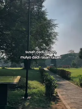 umume wong due nyowo!#4u #xyzbca #fypシ #foryou #saintskybear #fyp #foryoupage 