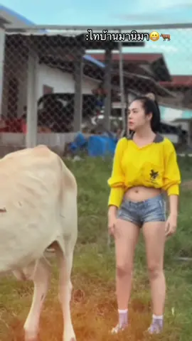 #ผู้สาวเลี้ยงงัวกาฬสินธุ์🐂🌿  
