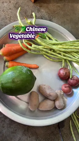 Chinese Vegetable🥕🥦fst time ranna korlm tw ma sha allah atto moja hobe vbi nai🙂😊#CapCut #viral?videotiktok😇😇 #myranna🍜 #foryoupageofficiall #fyppppppppppppppppppppppp 