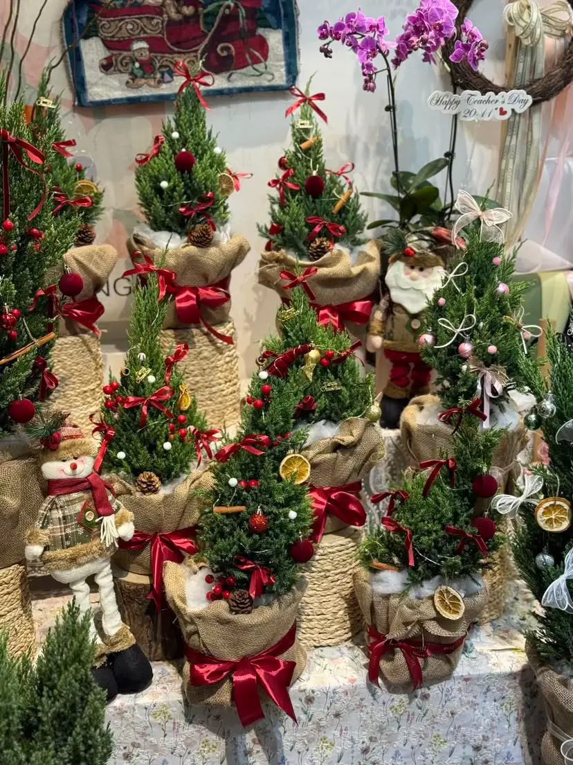 Form đứng – lá đều – thơm nhẹ. Siêu hợp để bàn 🎄 hận order 2-3 ngày ạ 💚 📍Online HN 📍 24c3 Trần kim xuyến  Zalo : 0339656649 Ảnh ST 📸 #noeldecor #sontungnoel #giángsinhanlành🎅 #merrychristmas #xuhuong 