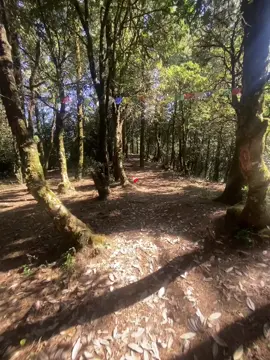 ❤️‍🩹 #dipjwol #viral #foryou #foryoupage #flpシ 