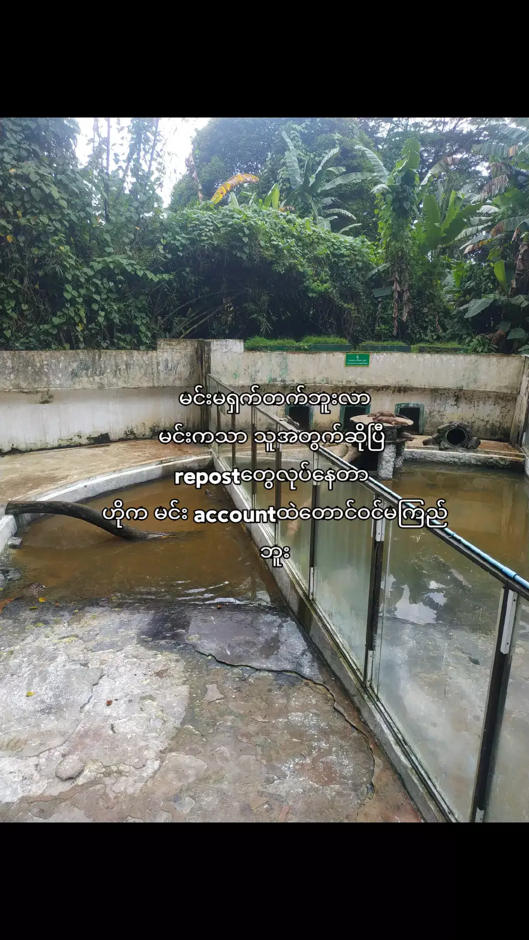 overthinking kills your happiness  #fppppppppppppppppppppppp #tiktokviral #tiktoklive #views 