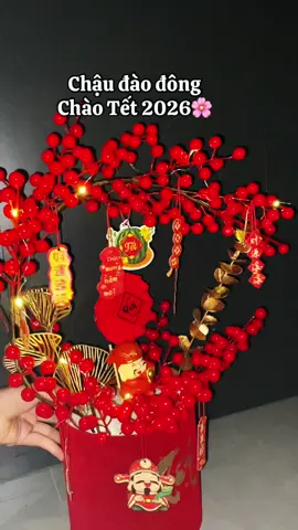Chậu đào đông đón tết trưng nhà đón lộc tài may mắn#đontet2026🧧🎉 #phukientrangtritet #chaudaodong #daodong #setdaodong 