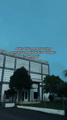 jangan buka komentar (isi nya orang tulus semua)##liriklagu #katakata #fyp 