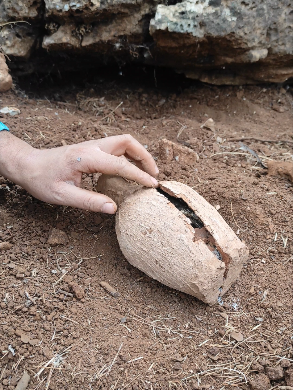 Buried Treasure Revealed#دفائن #treasurehunt #gold #كنوز #adventure 