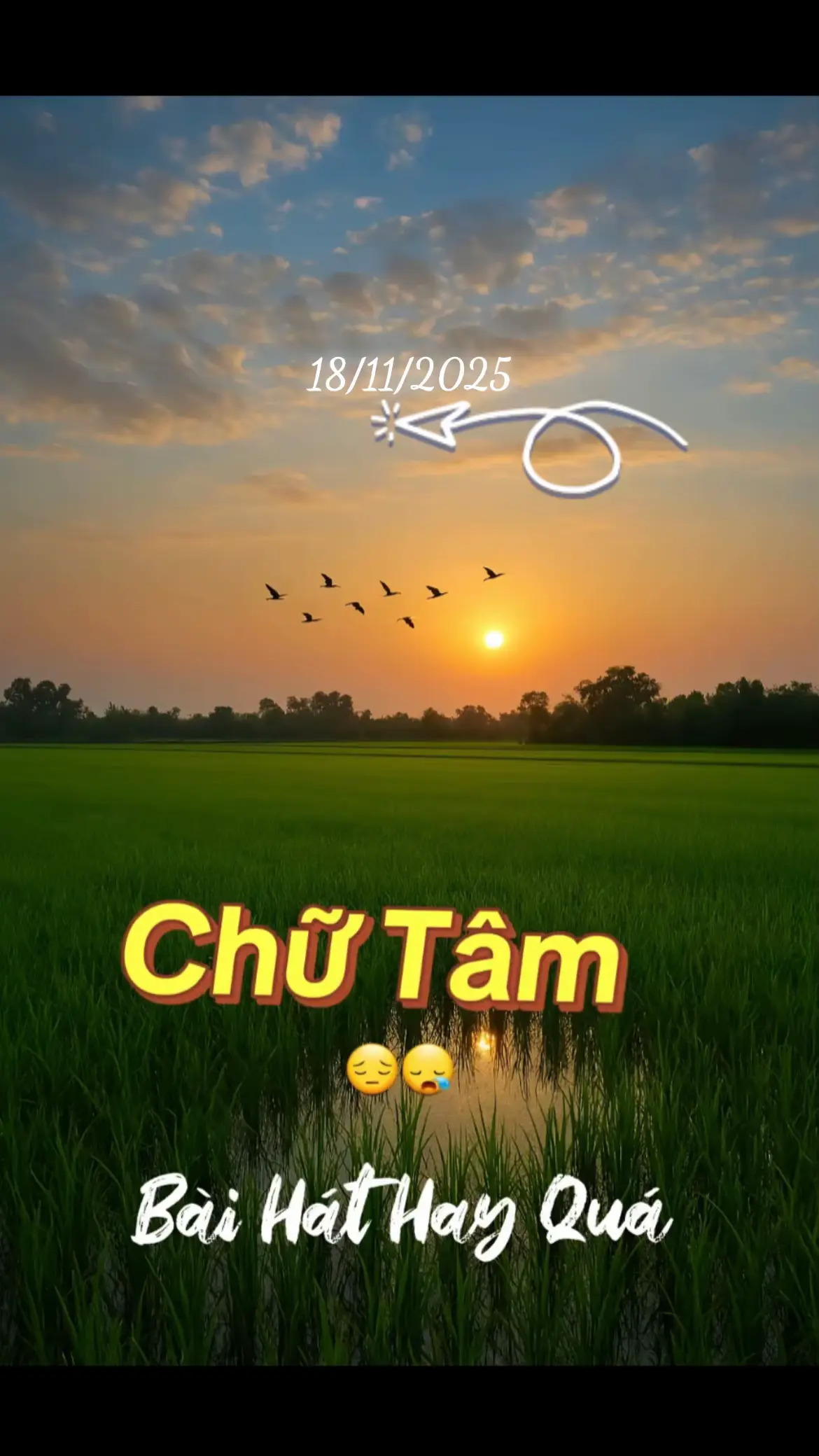 #nhạchay #nhạchaymỗingày #ngườimientay #hay 