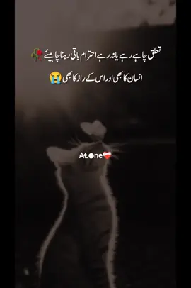 #creatorsearchinsights unfreezemyacount#virlvideo#foryou#fypppppppppppppp#unfreeze@tiktokcreators