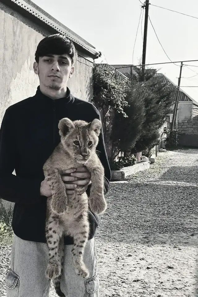 #keşfet #viral #post #kesfetbeniöneçıkart 