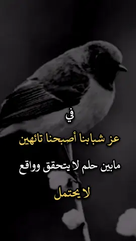 #عباراتكم_الفخمه📿📌 #اجمل_عبارة_راح_ثبتها📌 #افضل_عبارة_لها_تثييت، 