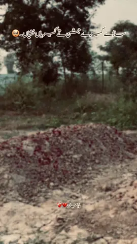 #foryoupage #fyp #foryou 