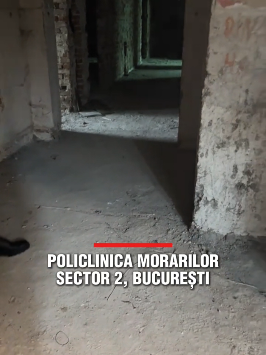 #bucuresti #romania #ancaalexandrescu #realitateaplus 