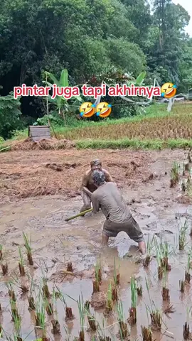 biar hujan tspi seruu #komedi #ngakak #lucu #viral 