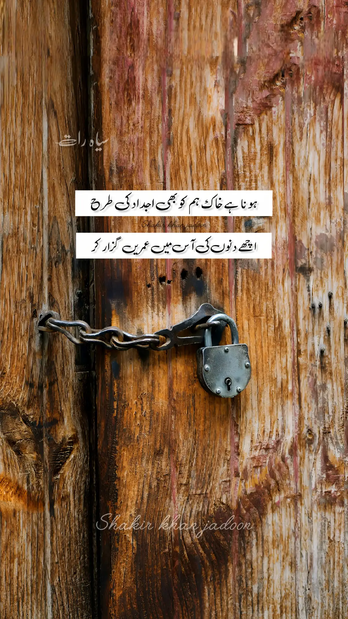 #flypシ #tiktok  💚🧡💙❤️🤎