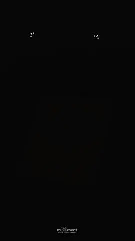 #fyppppppppppppppppppppppp #cirebontimurfypシ 