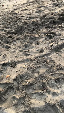 Simplemente hermoso🌅#paratiiiiii