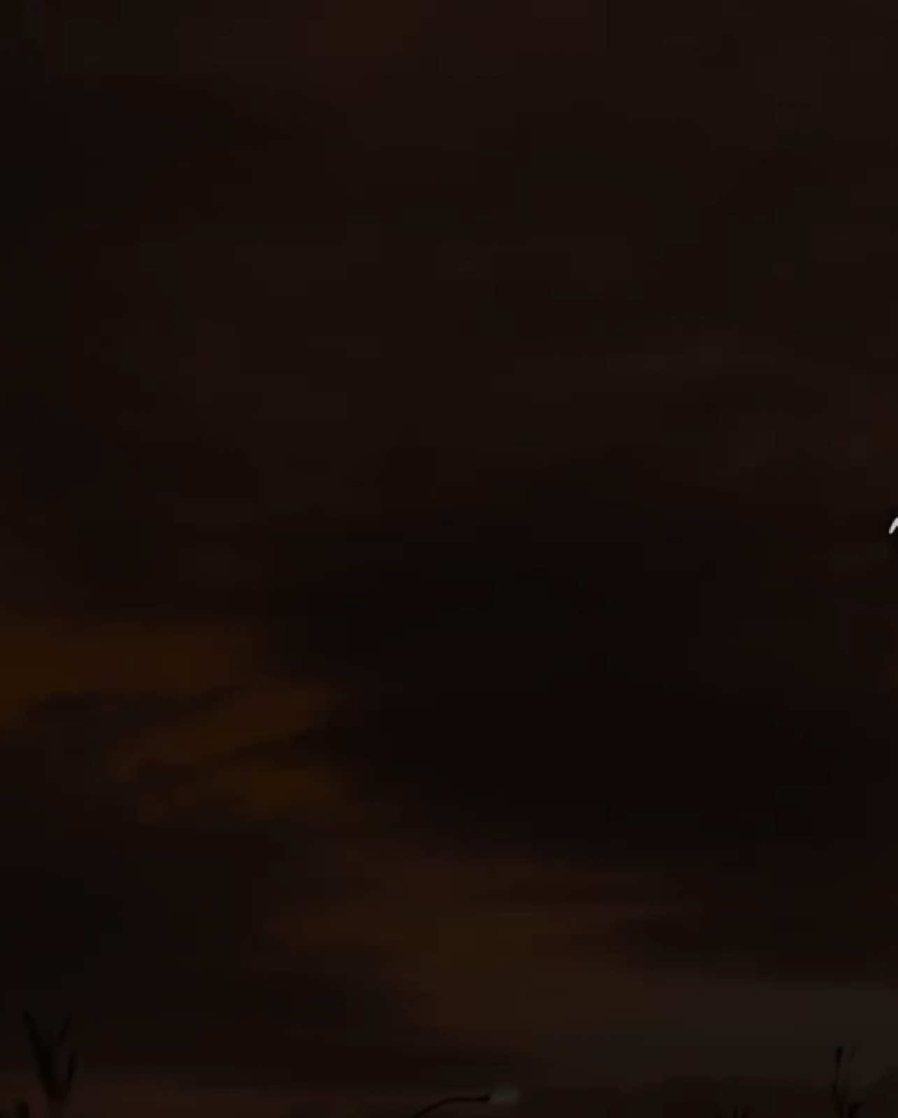 ألا إن أولياء الله لا خوف عليهم || مشروع كفالة خمس أيتام بالبايو ⛔️|#قران #ياسر_الدوسري #تلاوة_خاشعة #قران_كريم 