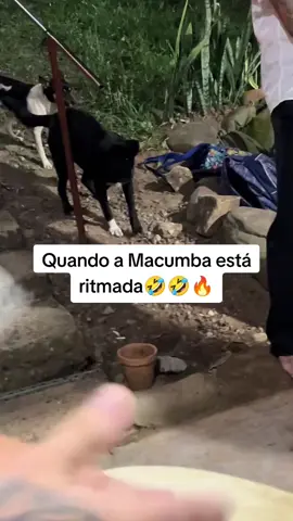 #macumbaprairprofy #tiktok #foryou #fyp 