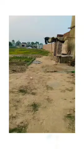 Sotar time brand lari 2194