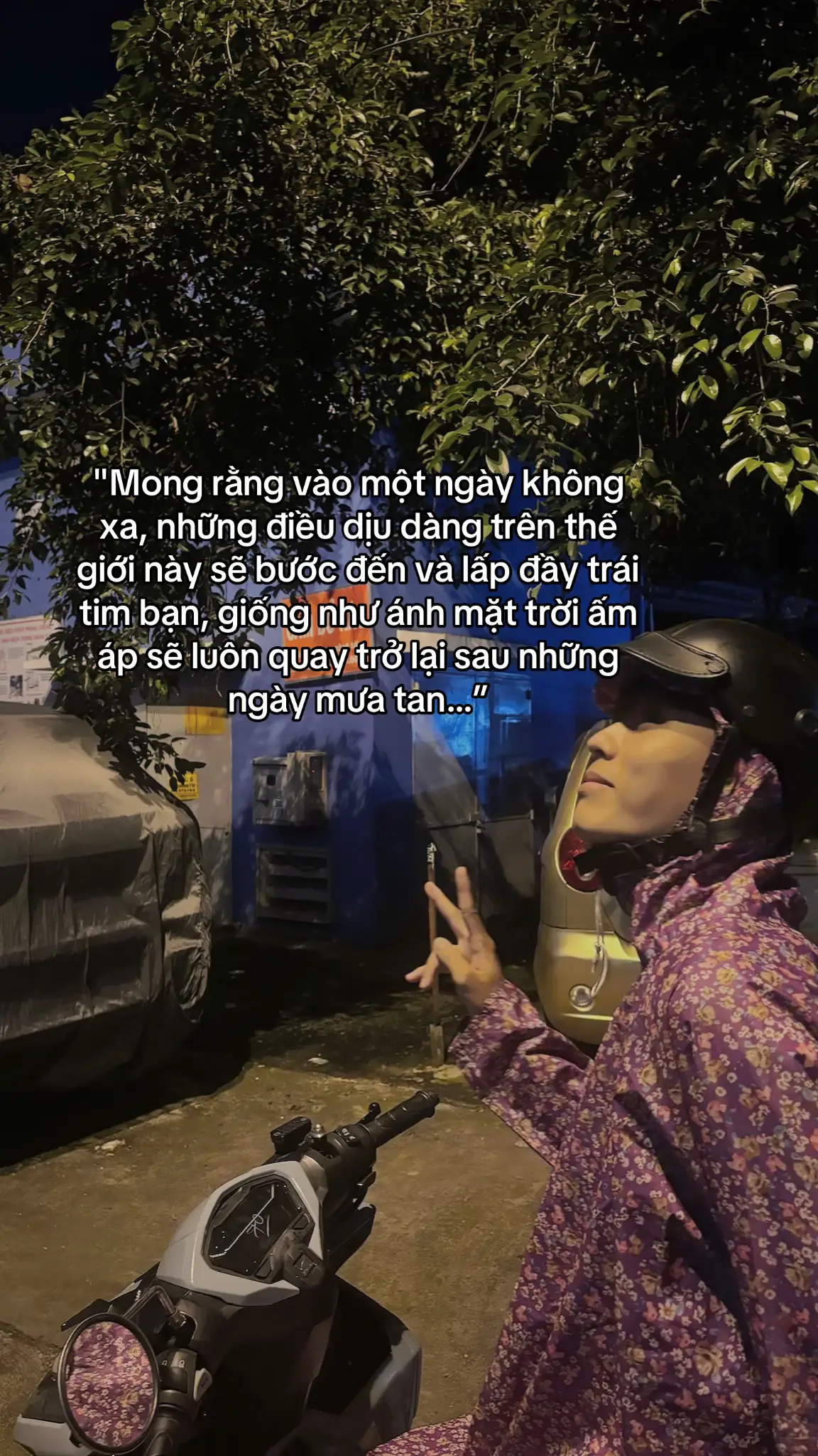 Chữa lành #xuhuong #viralvideo 