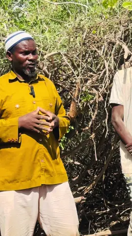 innaa lillaahi wa innaa ileyhi raajicuun ALLAH ha unaxriiso Waxaan ka qaadey haafadaha magaalada baydhabo haafid ka mid  waxaan geeyey aboosharow Allah ha unaxriiso  Part:1