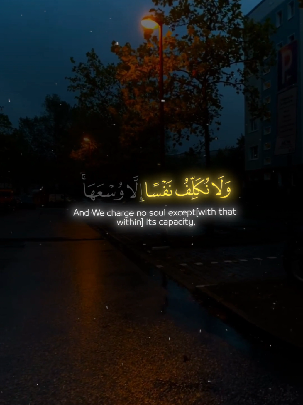 Rest your Hearing and heart 🎧🤍 #سورة_المؤمنون #ياسر_الدوسري Youtube (shadyposts) . . . #quran #قران_كريم #راحة_نفسية #quran_alkarim #fypシ #foruyou #قرآن #islamicpost #islamicreels #islamicpost 