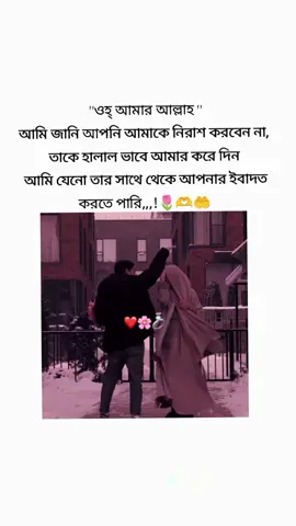 হে আল্লাহ, দোয়া কুবল করেন, আমিন 