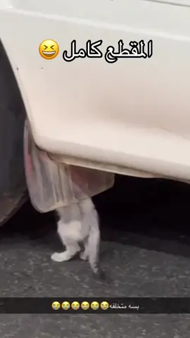 #الباحة #بلجرشي_الباحه #بلجرشي 