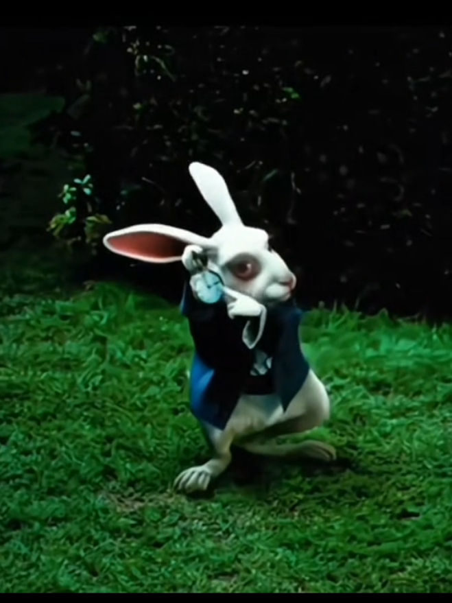 part 15 // HYUNJIN FANCAM  #fypage #fypシ #fouryoupage #fancamhyunjin #podercerdito❤️ 