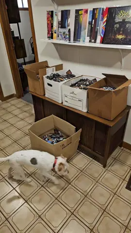 Anyone wanna help me sort?  #magic #magicthegathering #mtg #edh 