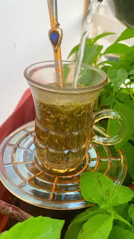 #تعانشرب_مته_وننسى_القصص_المعته 🧉🧉