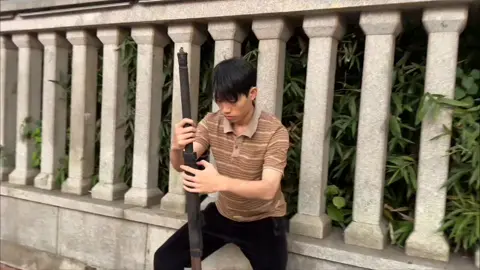 “树叶的一生，只是为了归根吗” #myaesthetic #douyin抖音 #aestheticvibes 