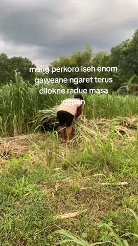 langsung Mak jlebbb tekan ati cahh#sapi #sobatngaret #foryou #fouryoupage #fyp 