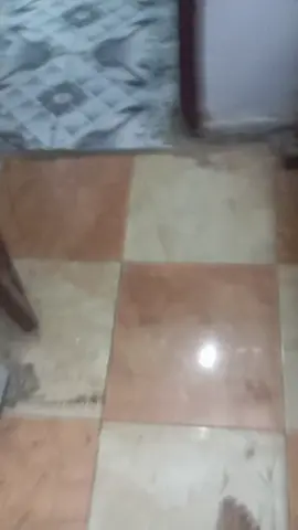 على فكرا انا الي واكل ده 😂😂