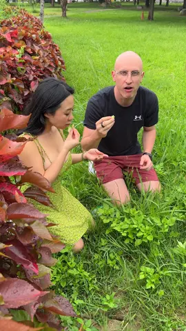 If humans were vegan animals 🐮🌿