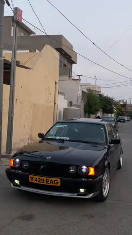 ماشاالله وەحشە🖤🦅#1992 #525ia🇩🇪 #حەمەی_ڕێبوار🦅 #foryou #ڕاوچی 