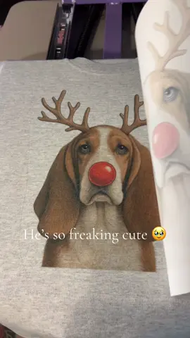 Probably one of my favs. Look at his droopy face 🥹🥹 #bassethound #hounddog 