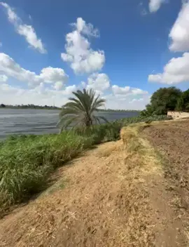 #اسيوط_سوهاج_قنا_الاقصر_اسوان_المنيا #الصعيد_يا_دولة #صعيدي_ياخال_والاسم_لوحدو_مواااال #جمال_الطبيعة 